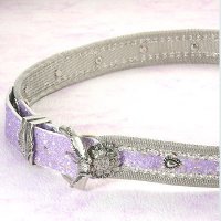Metal Belt