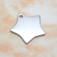 Stainless Steel Pendant